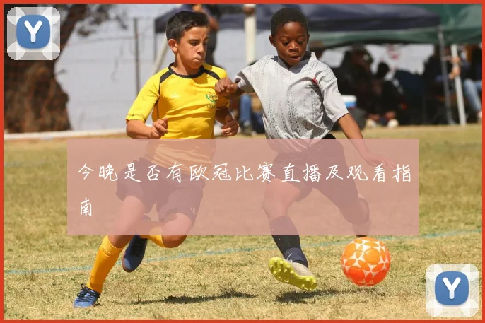 今晚是否有欧冠比赛直播及观看指南